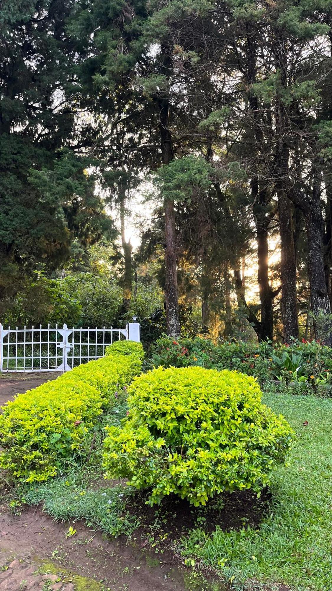 Tentgram Planters Bungalow Suryanelli Kültér fotó